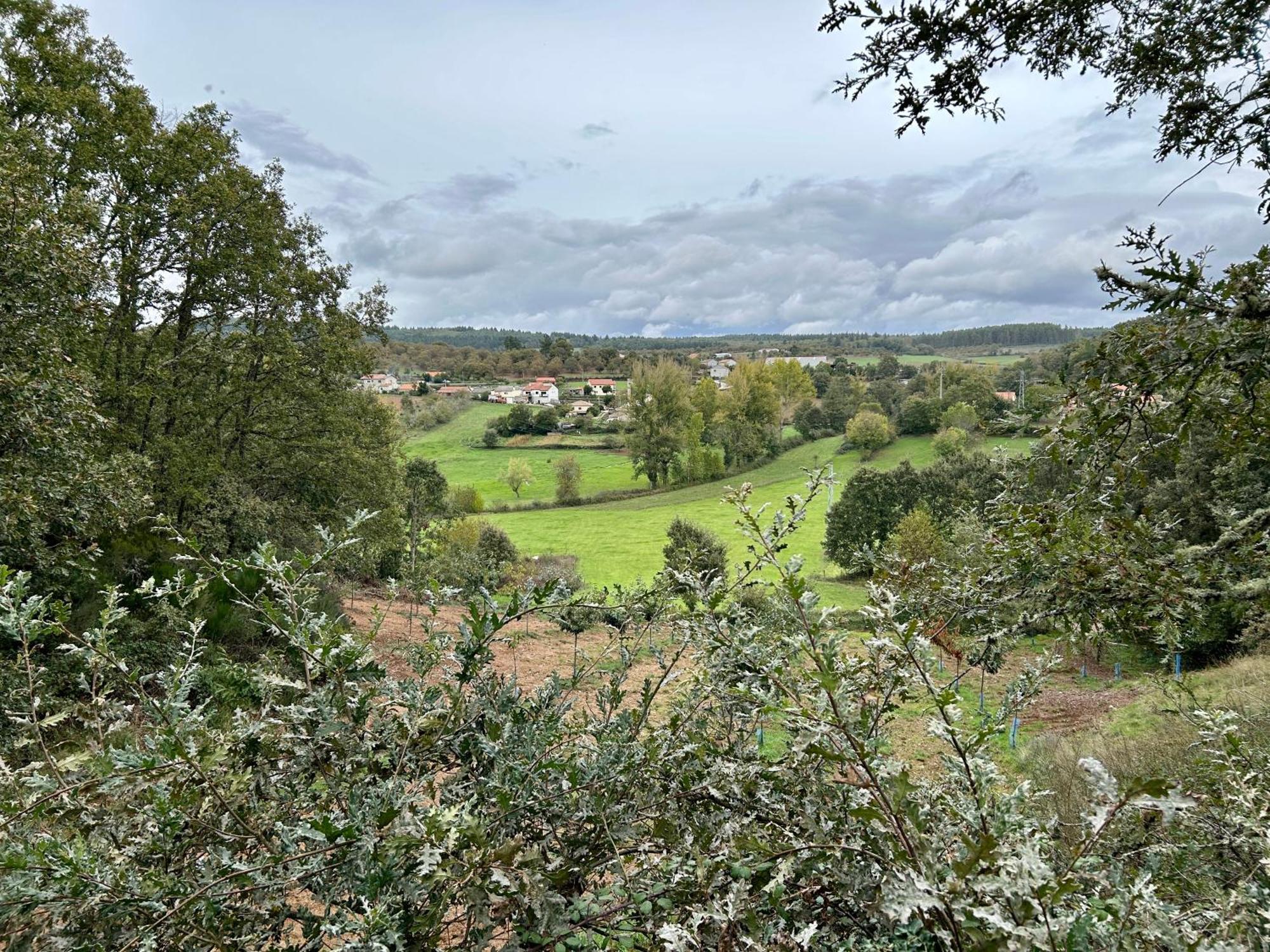Casa Do Souto - Nature & Experiences - Turismo Rural Bragança Eksteriør bilde