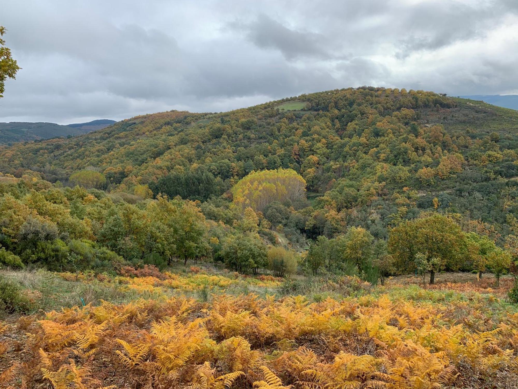 Casa Do Souto - Nature & Experiences - Turismo Rural Bragança Eksteriør bilde