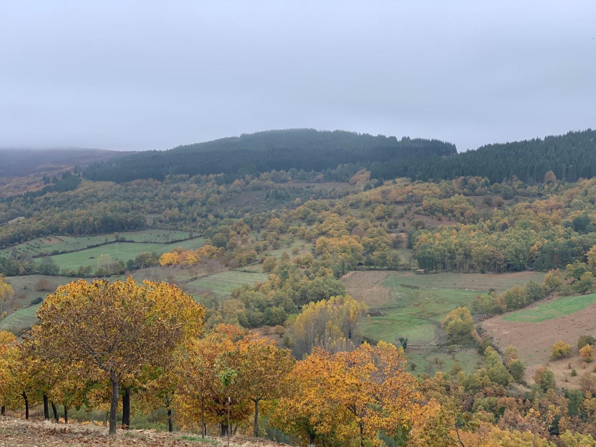 Casa Do Souto - Nature & Experiences - Turismo Rural Bragança Eksteriør bilde