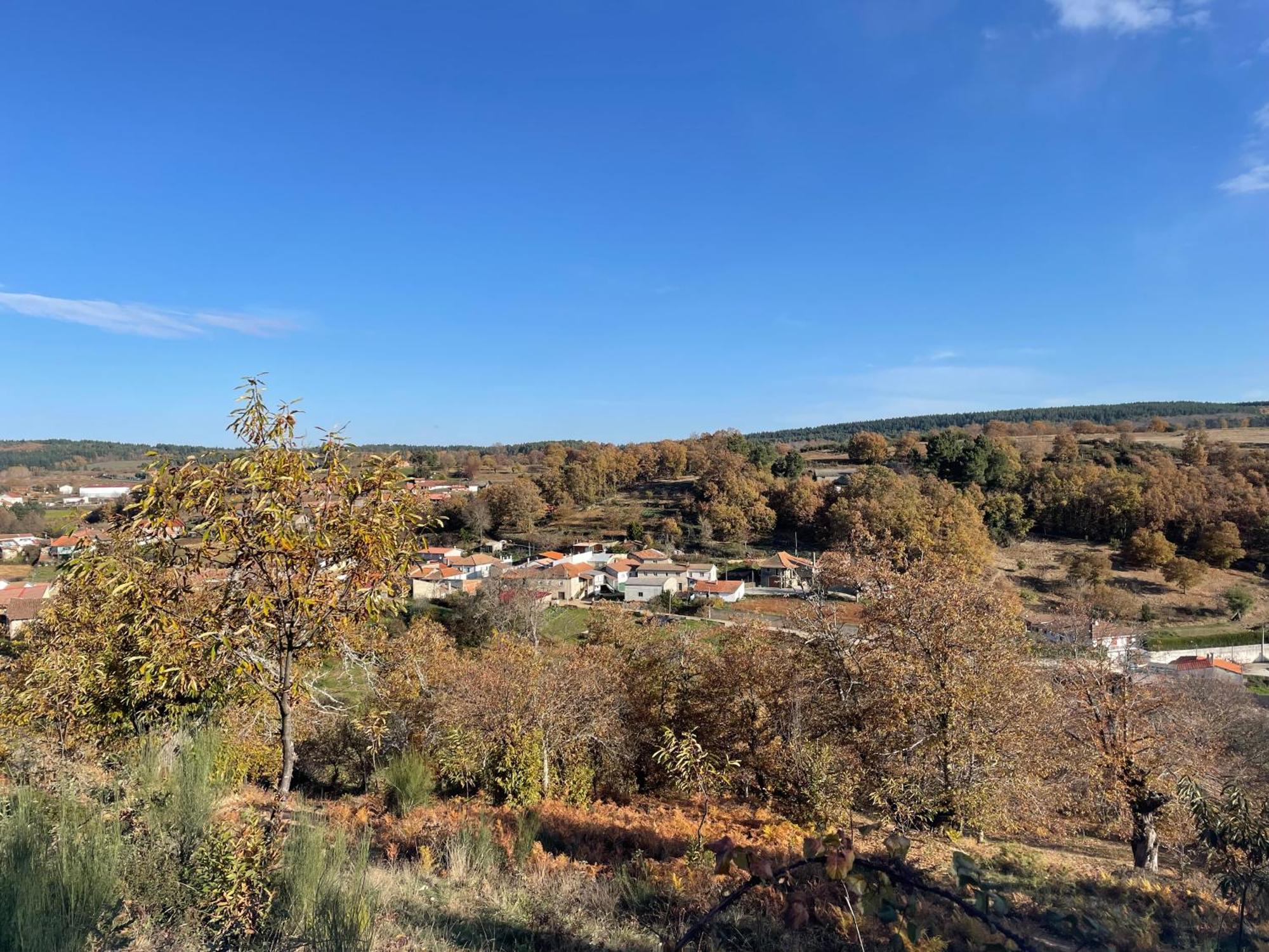 Casa Do Souto - Nature & Experiences - Turismo Rural Bragança Eksteriør bilde